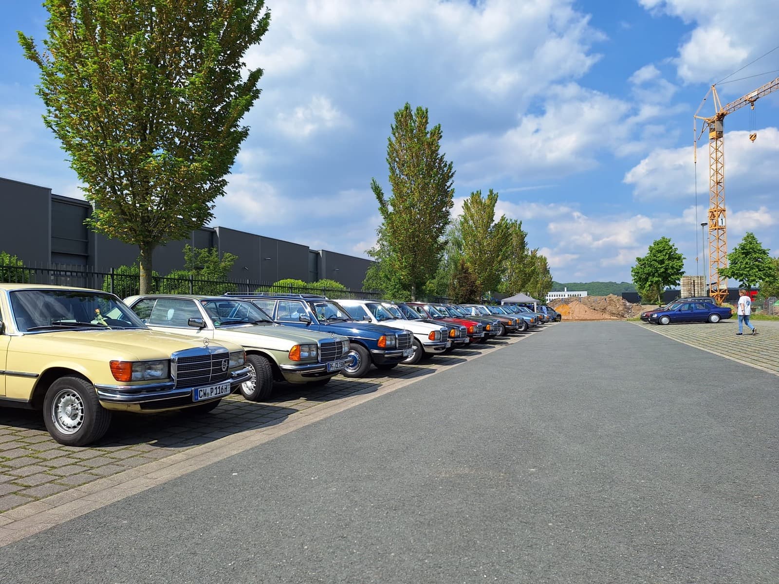 Aufgereihte W123 entlang einer Straße bei einem Treffen
