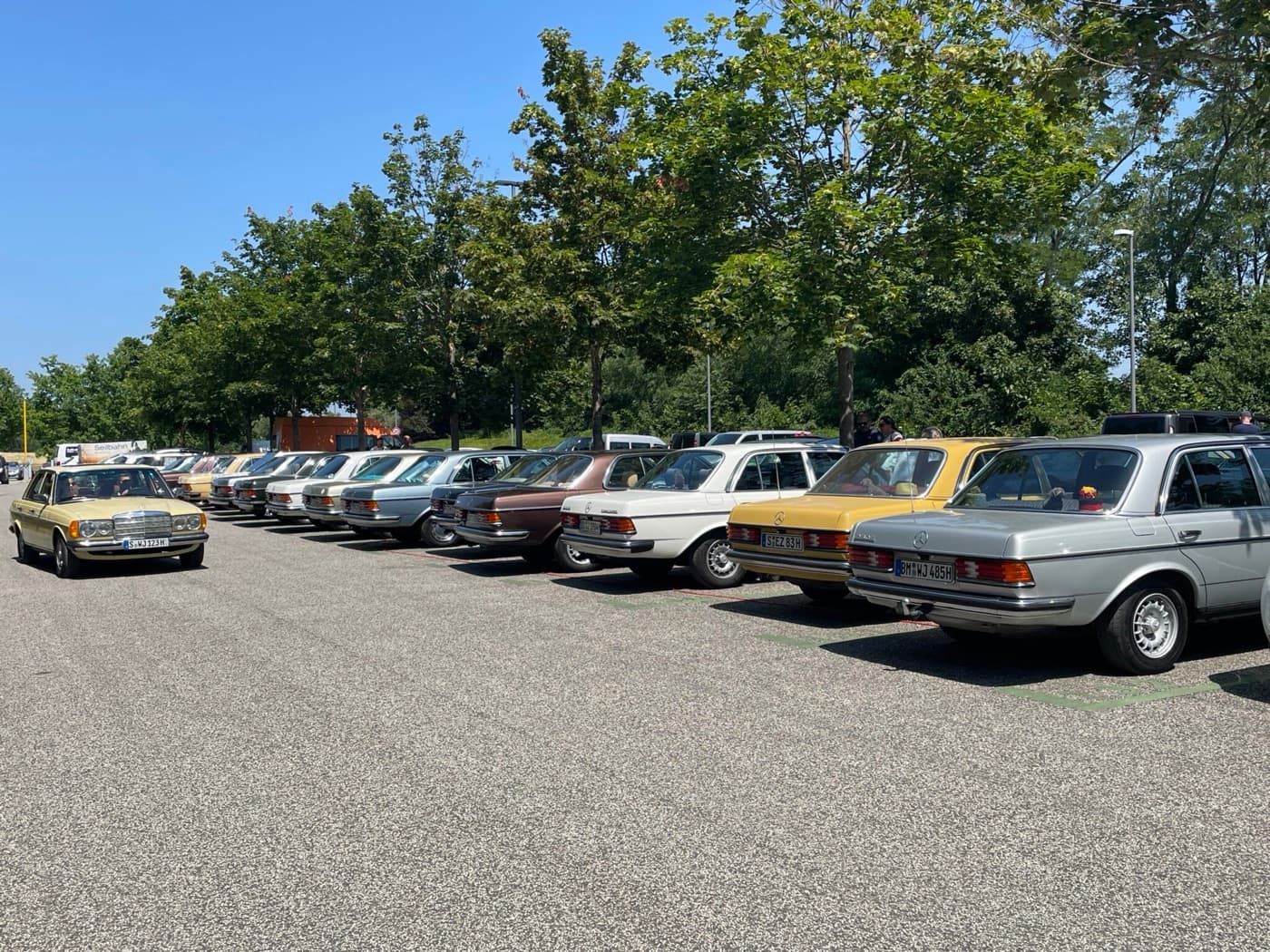 W123-Treffen: eine Reihe klassischer Mercedes-Benz der Baureihe 123
