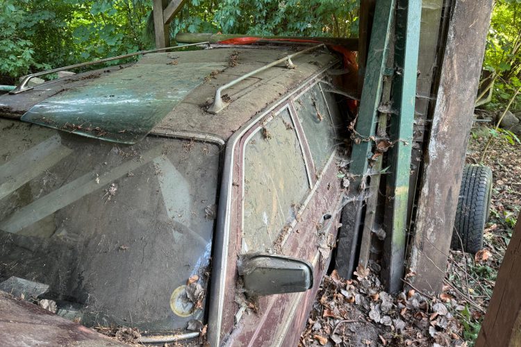 WhatsApp Image 2026-02-06 at 13.44.12