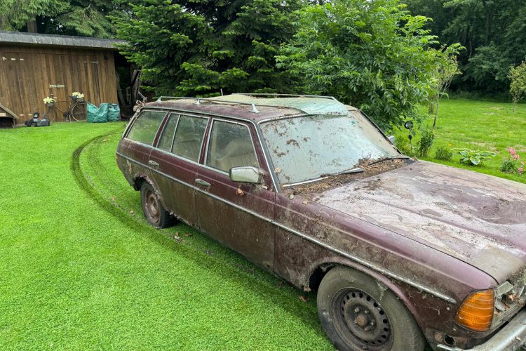 WhatsApp Image 2026-02-06 at 13.44.13